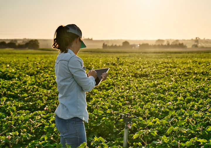 A woman with an iPad stands in front of a green field of crops. 