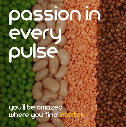 Various types of beans arranged in rows next to each other